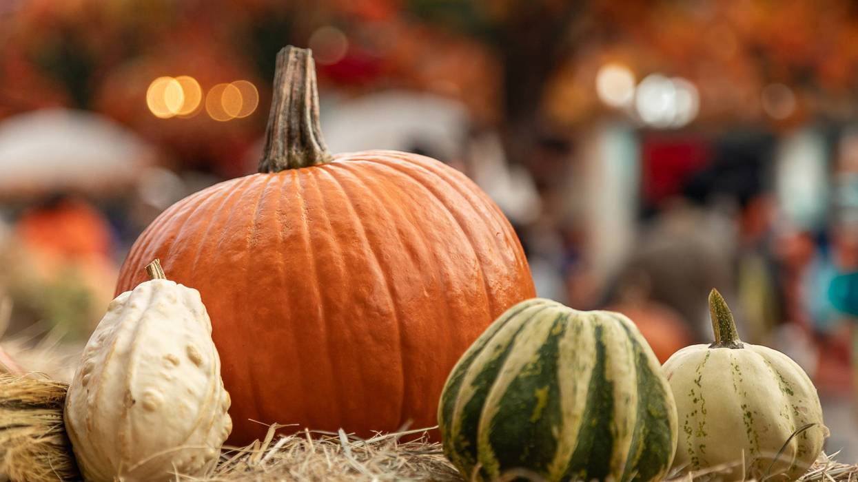 Pumpkins and gourds on hay bale, rustic autumn harvest decoration