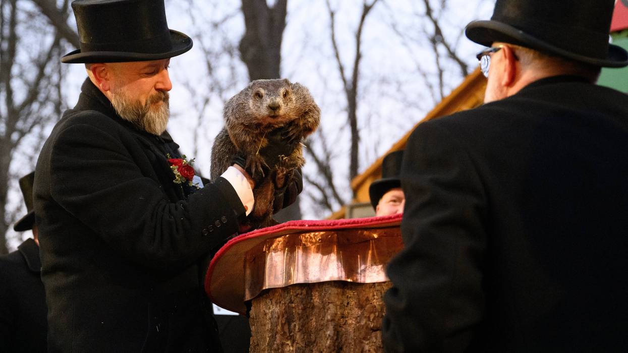 Punxutawney Phil
