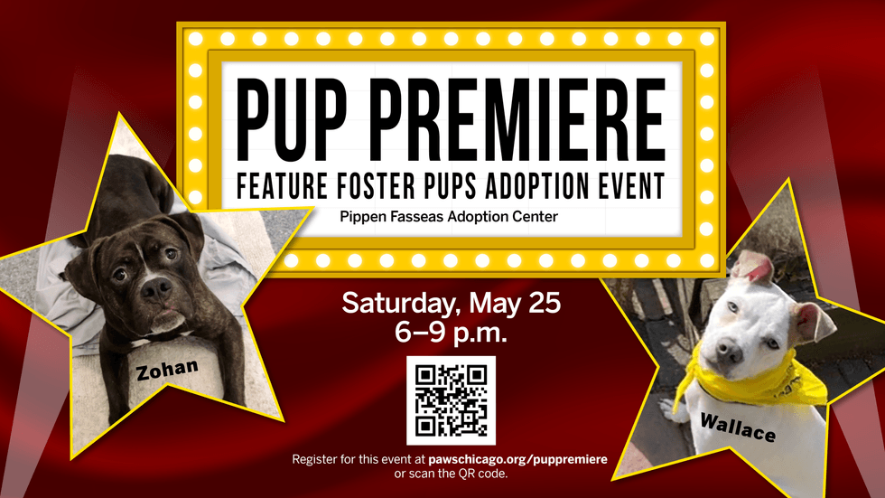Pup Premiere adoption event poster