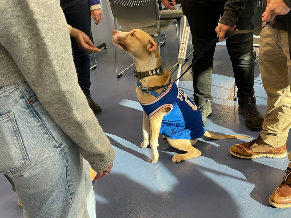 Puppy at 76ers training complex on Thursday, Jan. 10, 2025.