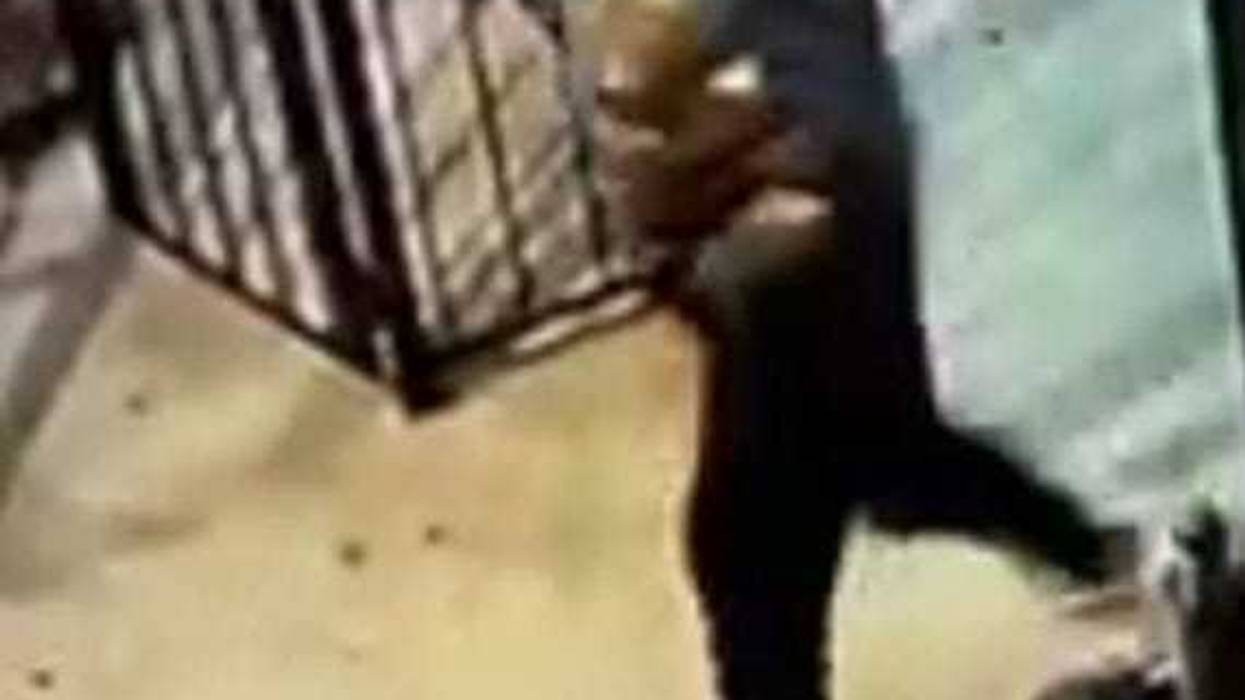 Purse snatch suspect