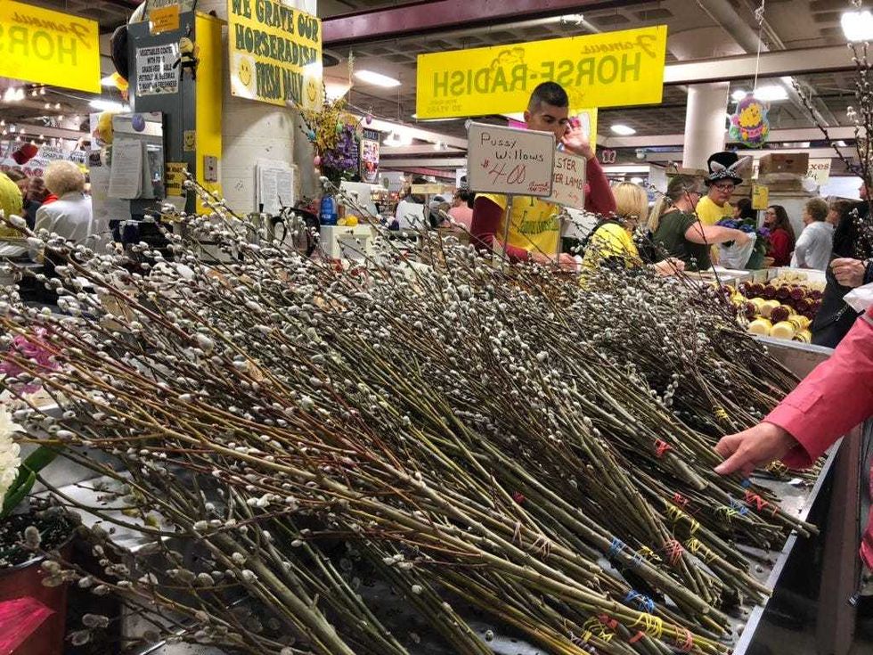 Pussy Willows at the Broadway Market