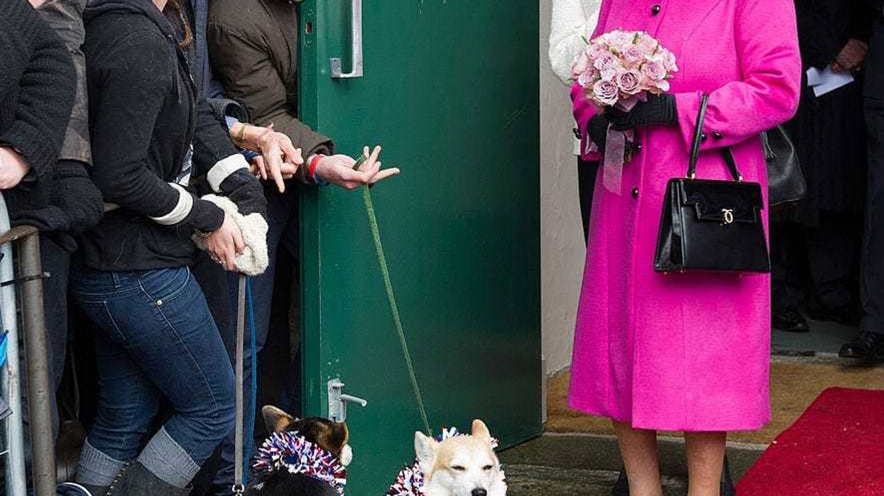 Queen Elizabeth with dogs