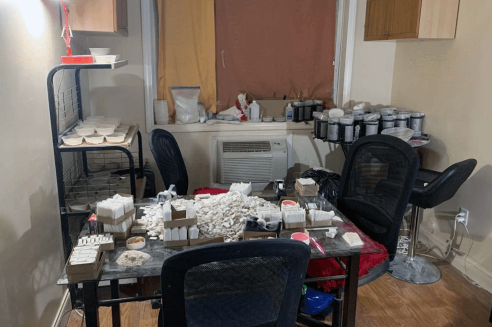 Queens drug bust