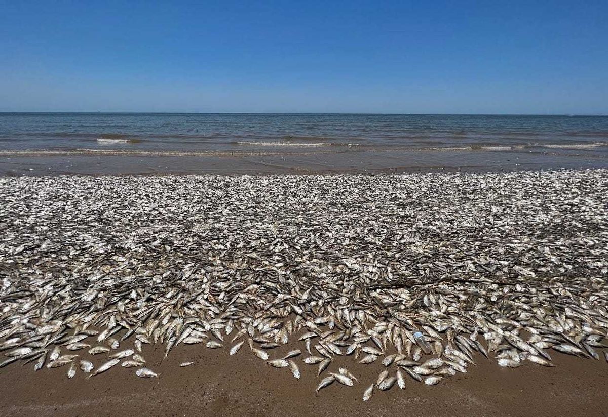 Quintana Beach County Park