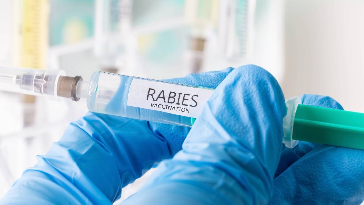 Rabies vaccine