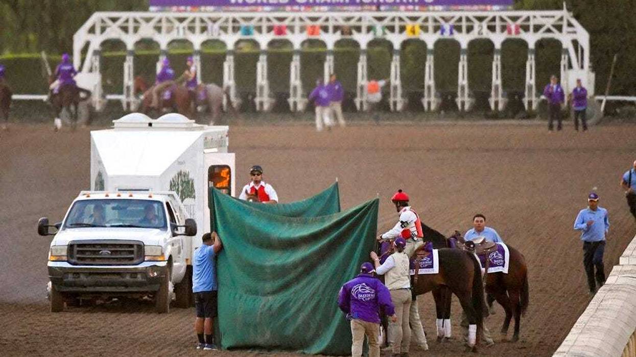 rack workers treating Mongolian Groom after the Breeders' Cup Classic horse race at Santa Anita Park, in Arcadia, Calif.