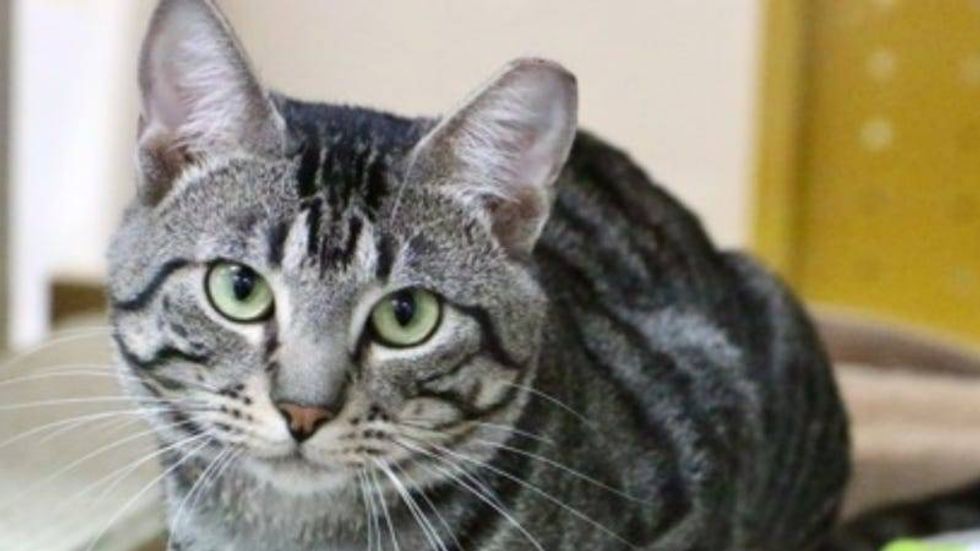 Rain @ Austin Humane Society 11/09/22