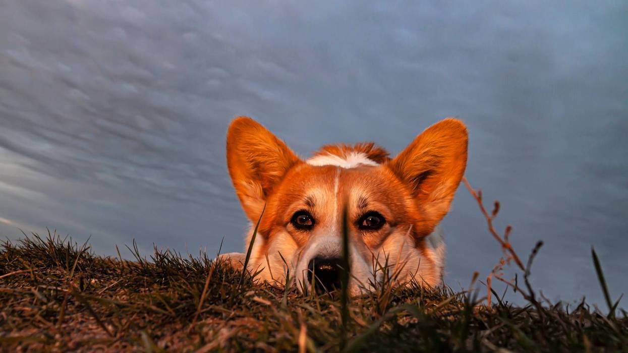 Rain finally moves on, still cloudy