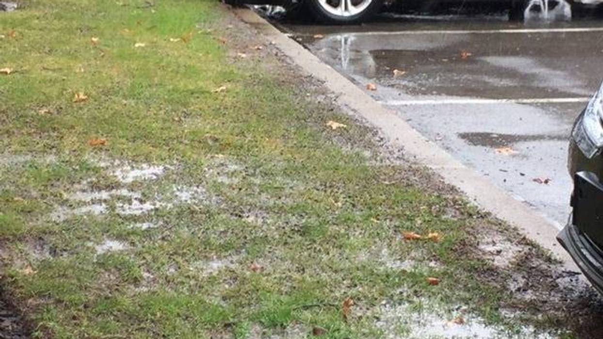 Rain
