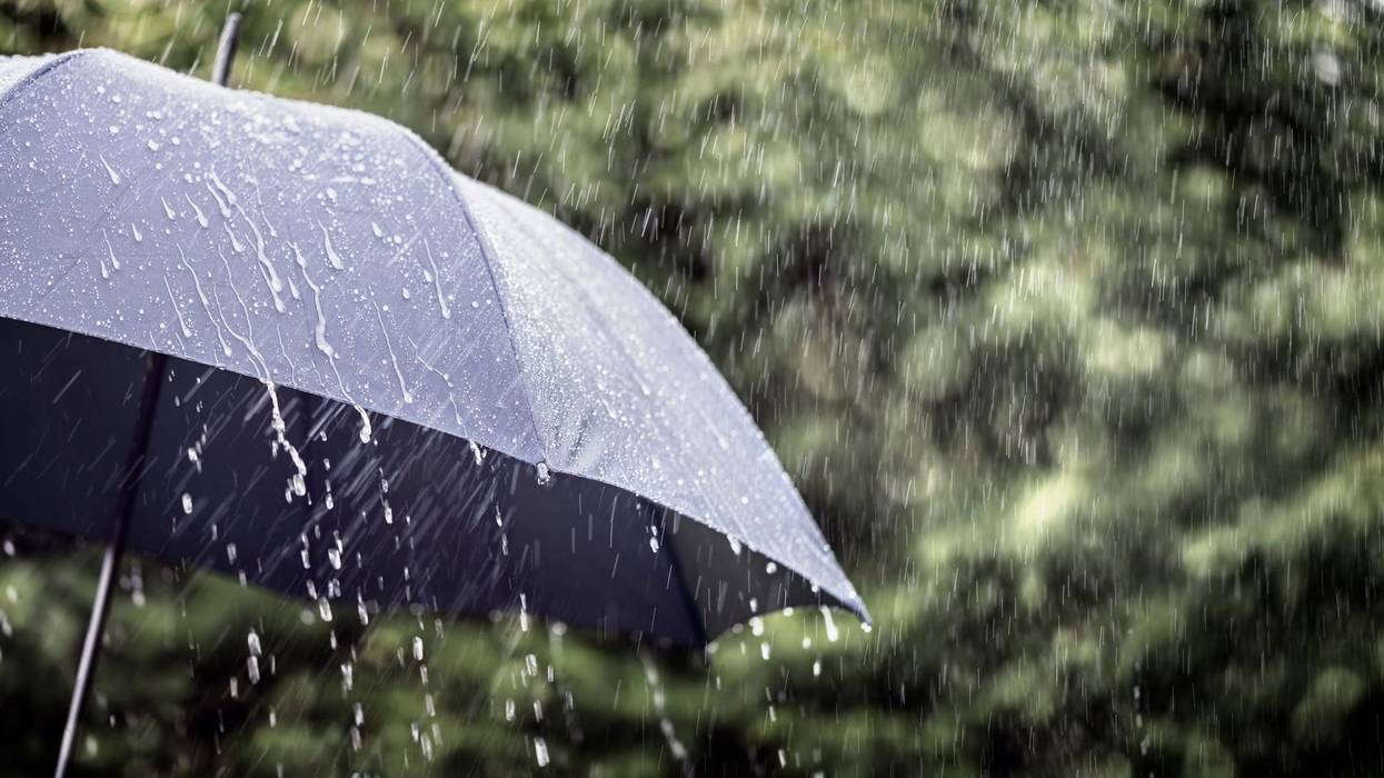 Rain