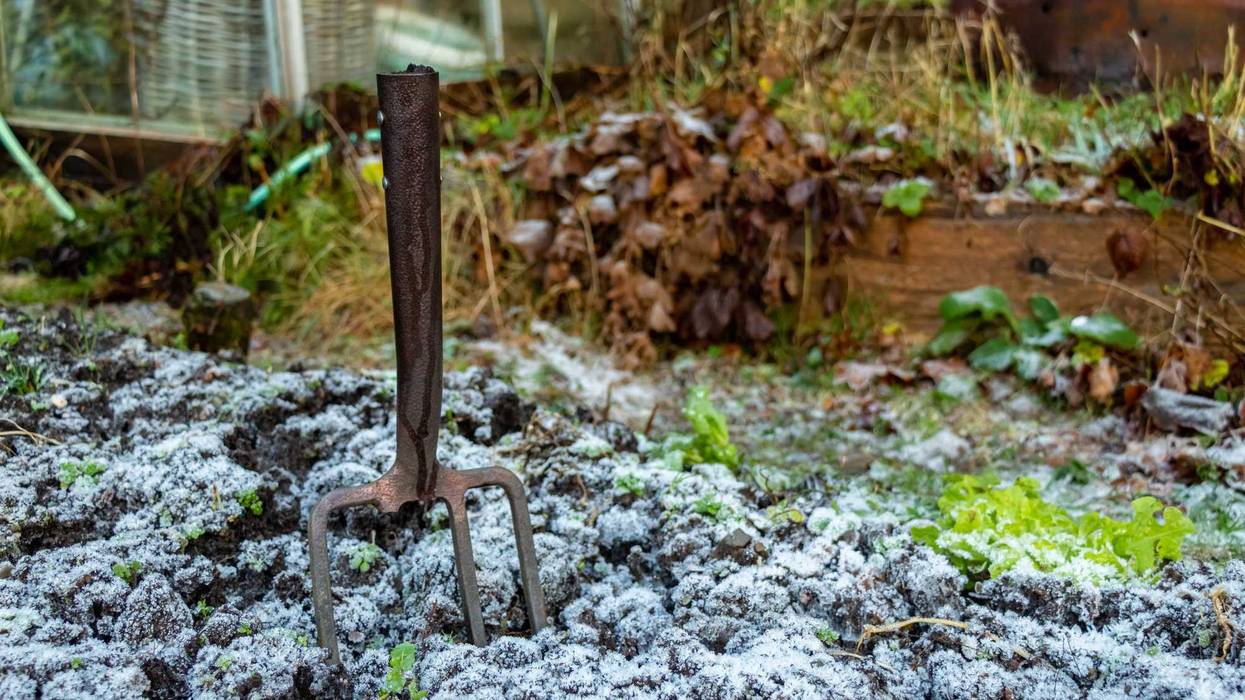 Raking, Leaves, Garden, Lawn, Winter, Minnesota