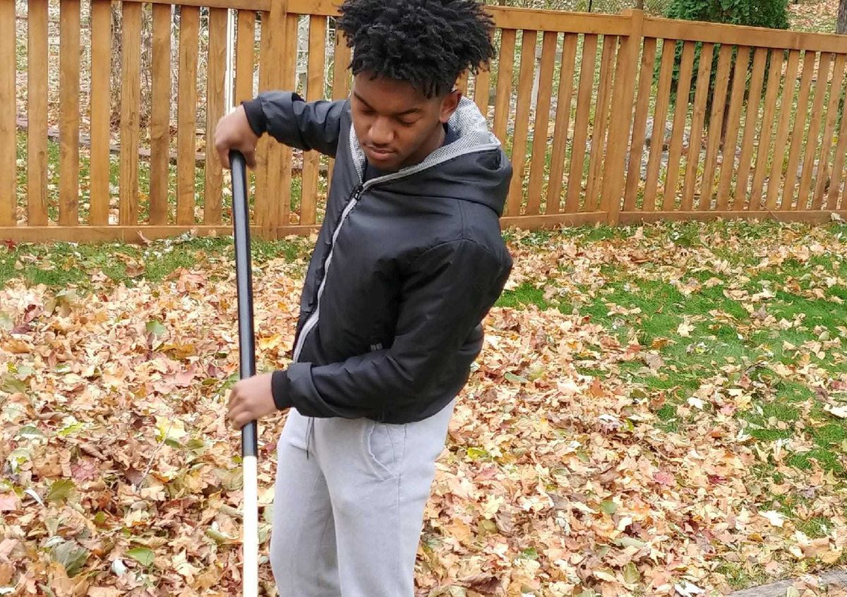 Raking, Leaves, Lawns, Yards, Winter, Fall