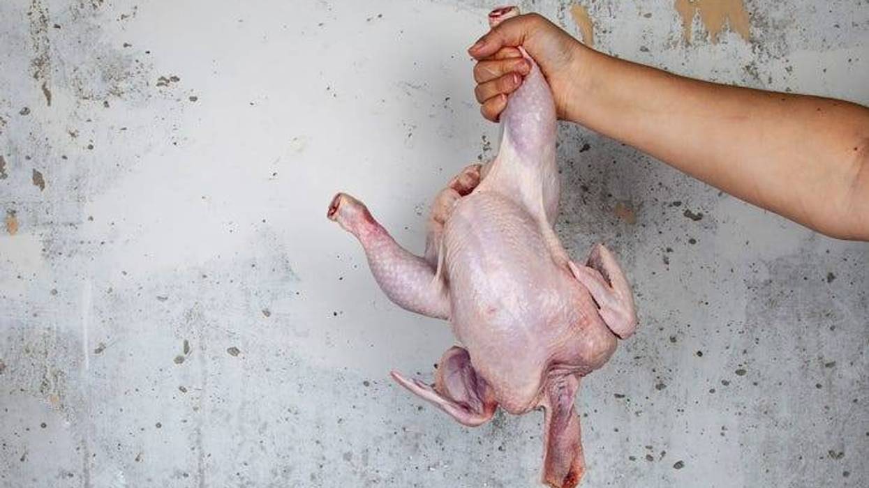 Raw chicken in female hand on gray wall background