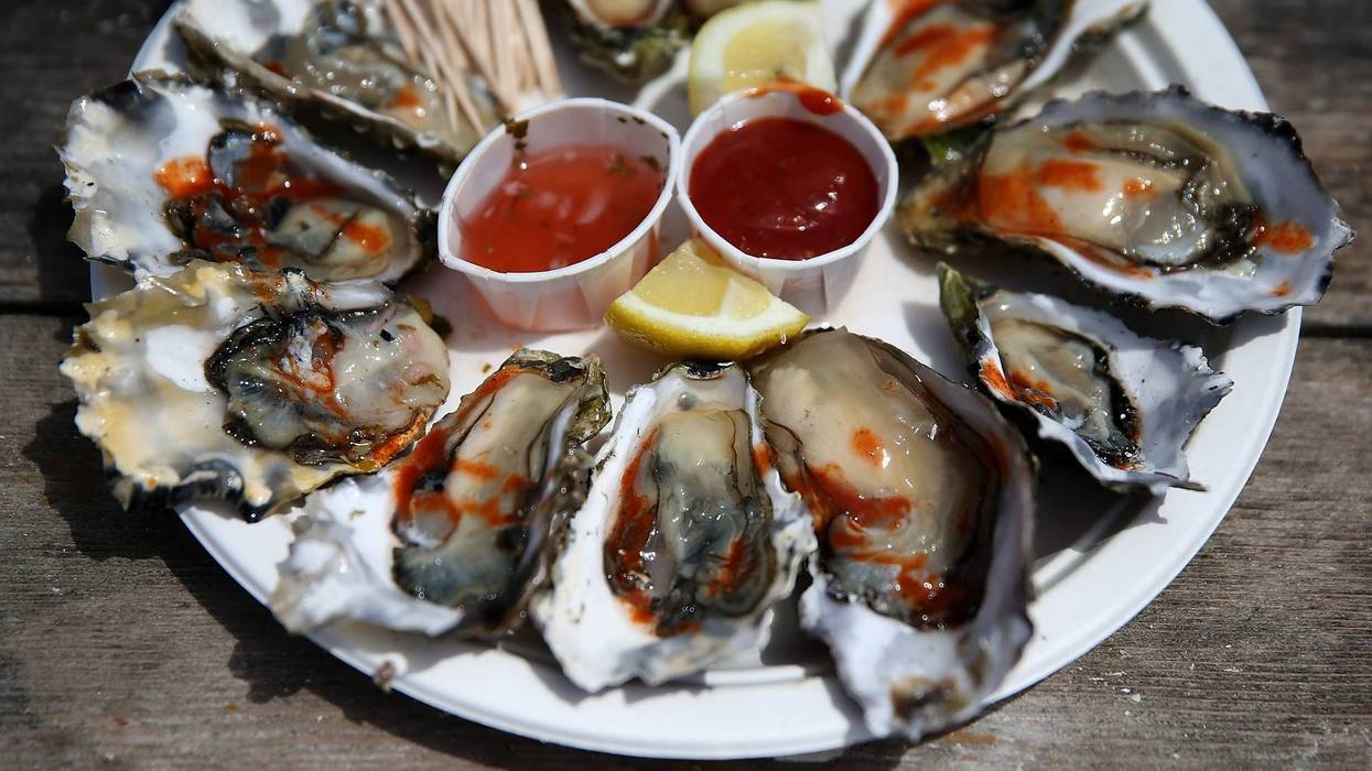 raw oysters