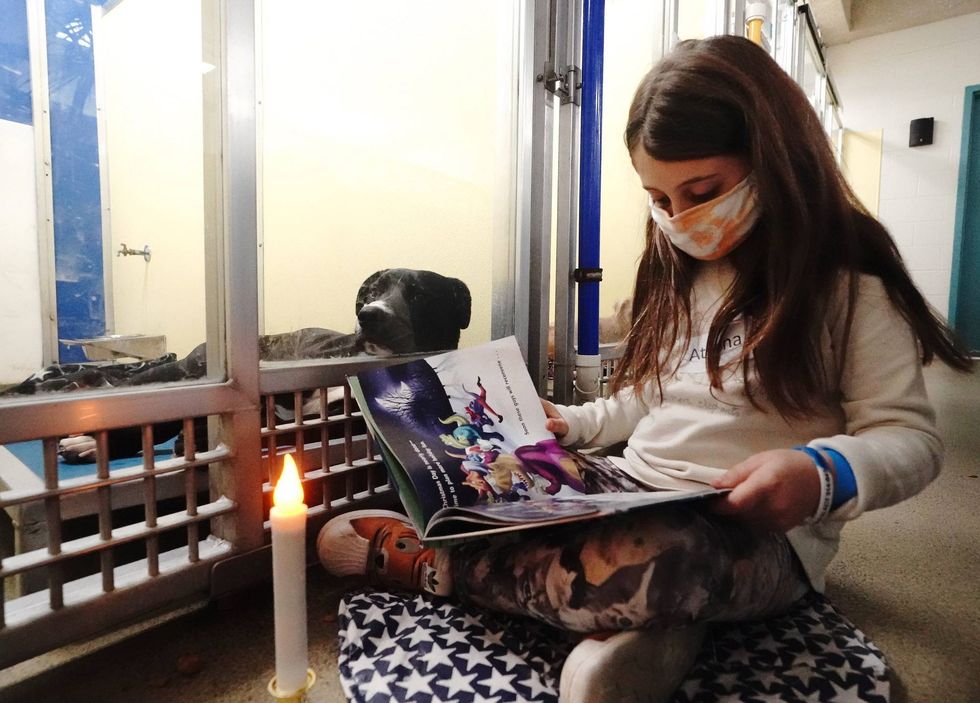 Reading to dogs at Humane Society of Missouri in St. Louis
