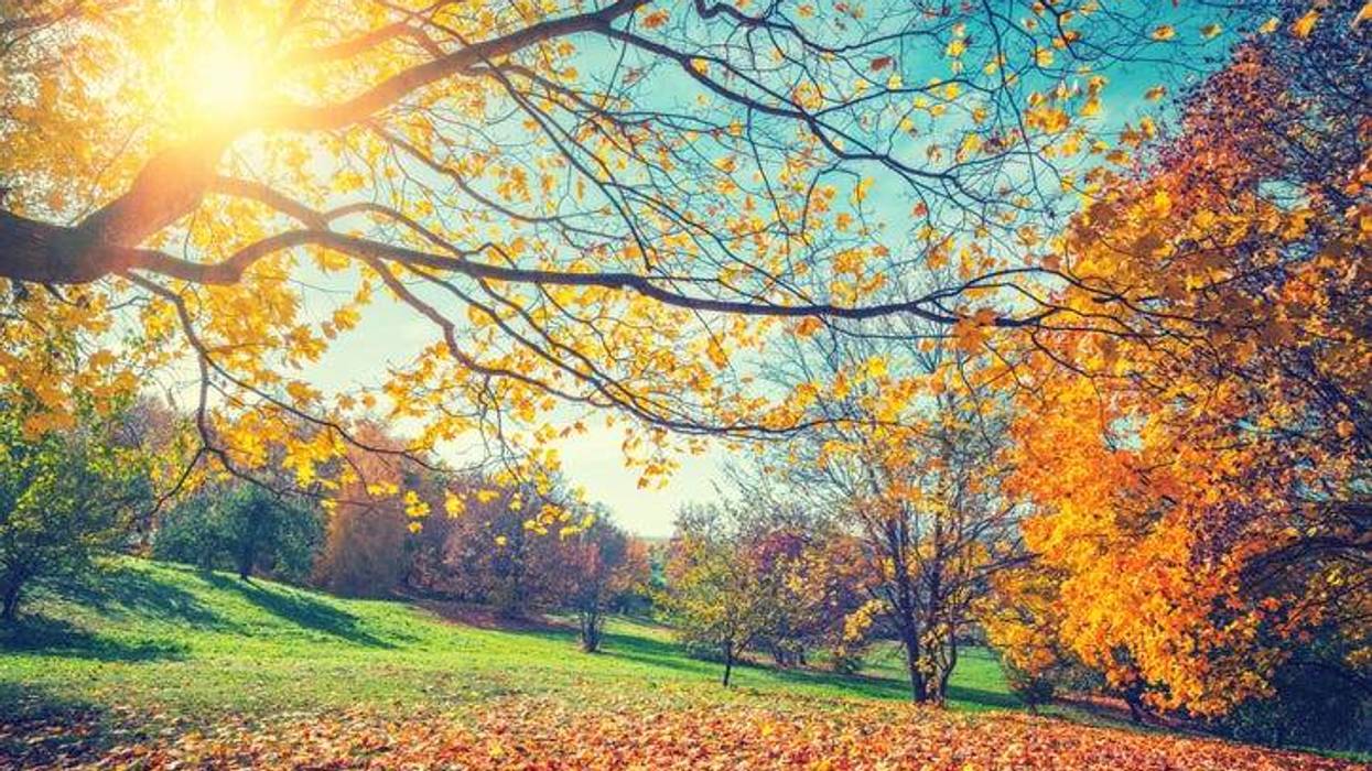 Record heat expected in metro Detroit today