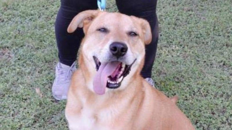 Red @ Austin Humane Society 6/22/22
