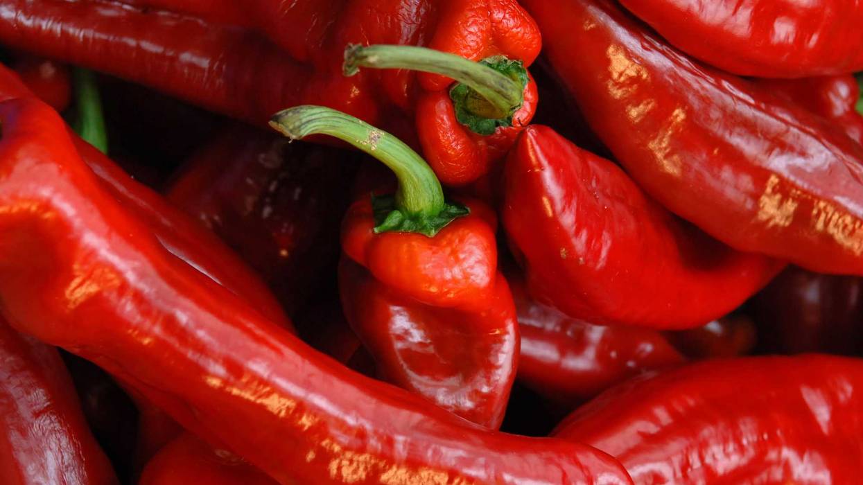 Red Chilli