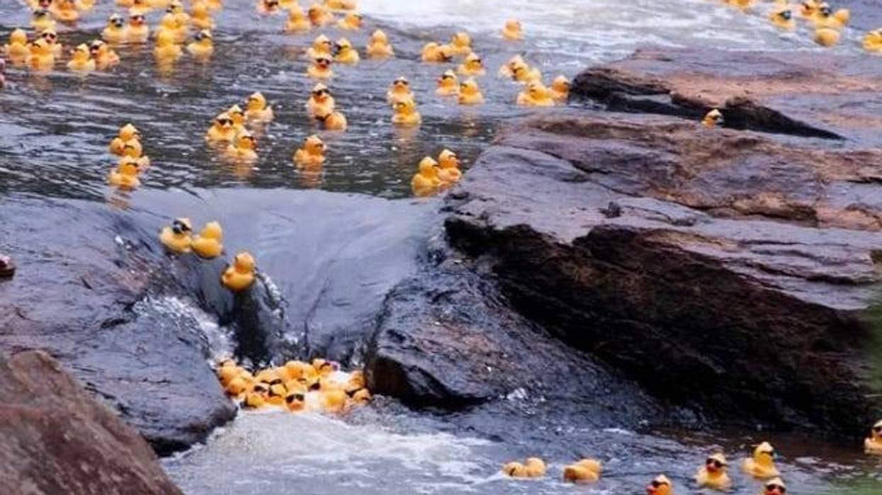 Reedy River Duck Derby Rescheduled