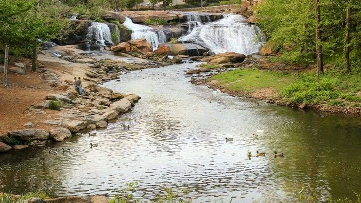 Reedy River