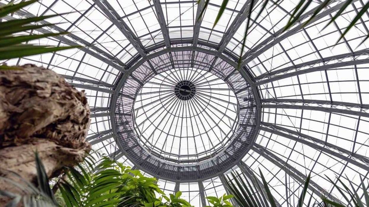 Renovated dome at Belle Isle's Anna Scripps Whitcomb Conservatory