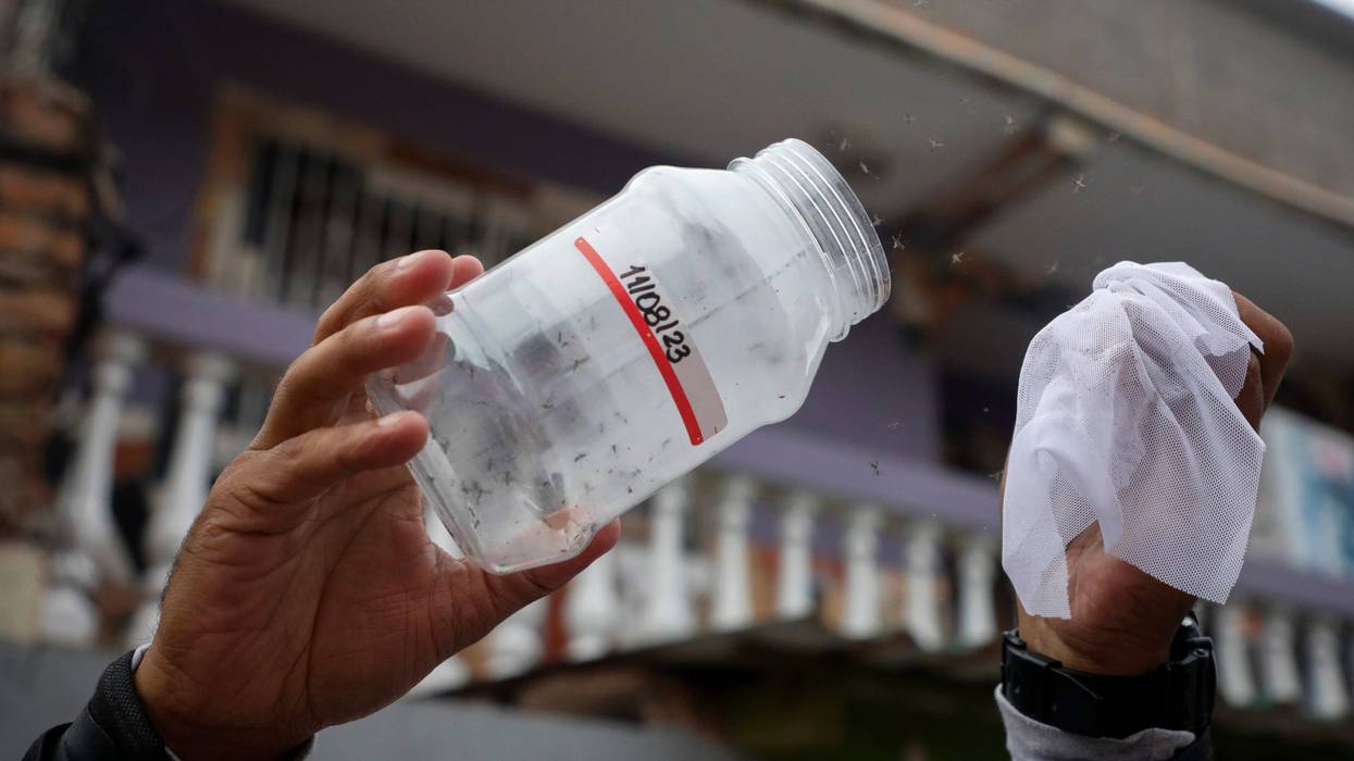 REP-CIE MOSQUITOS CONTRA EL DENGUE