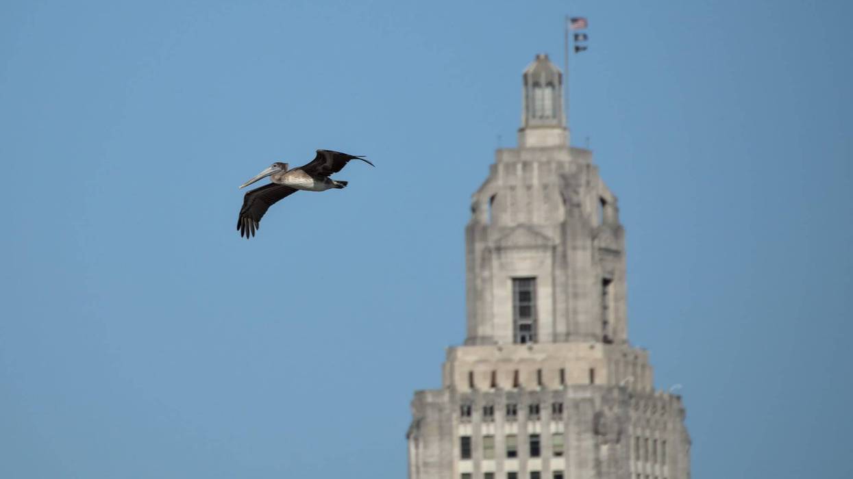 Report: Metairie's Cameron henry poised to be Senate leader in new term