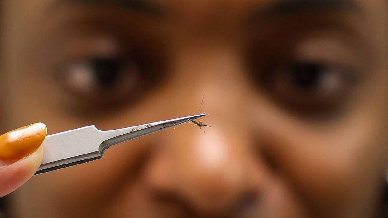 researcher holding mosquito