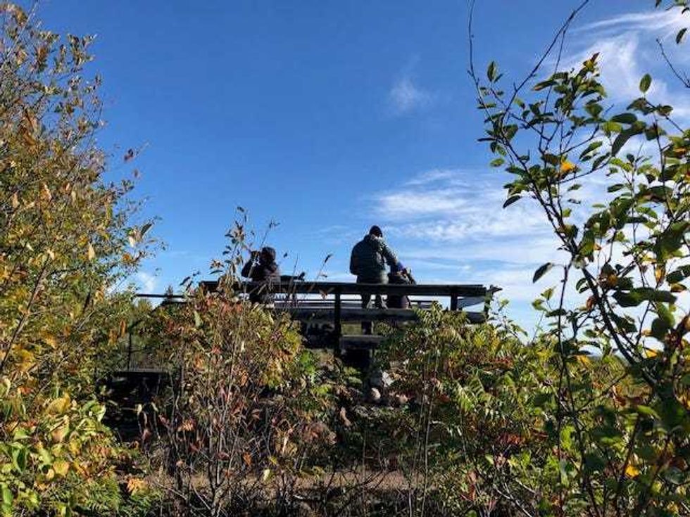 Researchers spot and count thousands of raptors during Fall migration