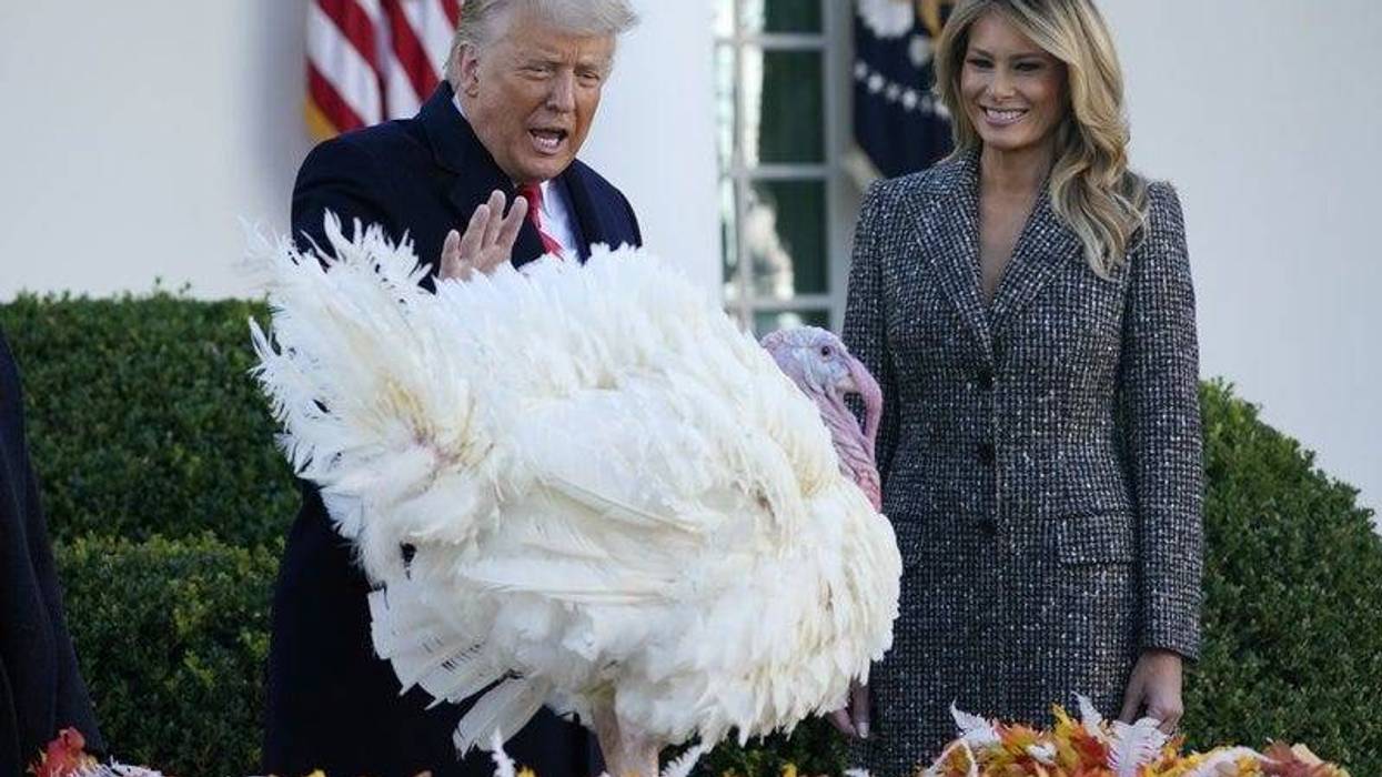 resident Donald Trump pardons Corn, the national Thanksgiving turkey, in the Rose Garden of the White House, Tuesday, Nov. 24, 2020, in Washington, as first lady Melania Trump watches.