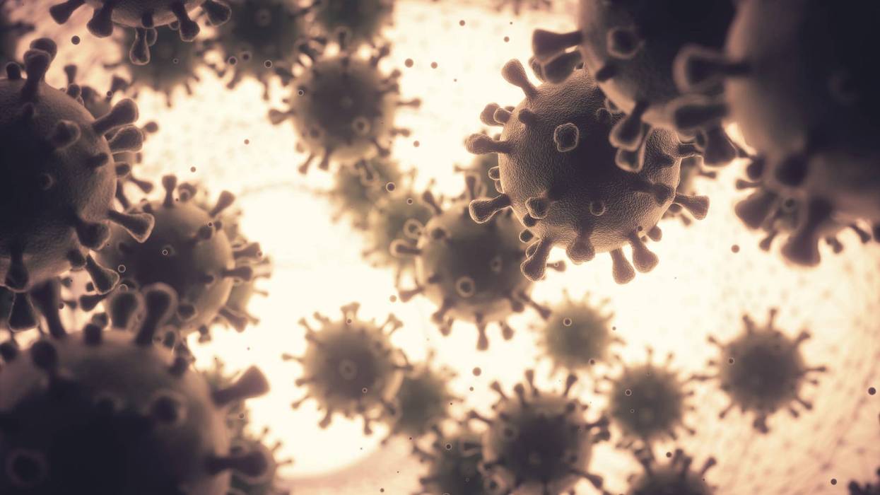 Respiratory syncytial virus