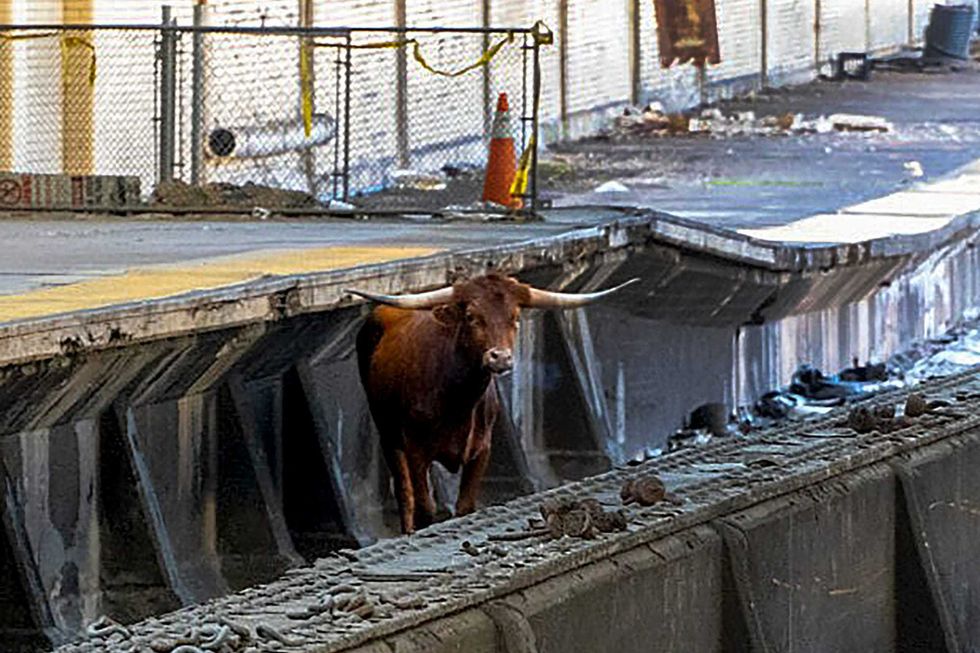 Ricardo stands on the tracks at Newark Penn Station on Dec. 14, 2023
