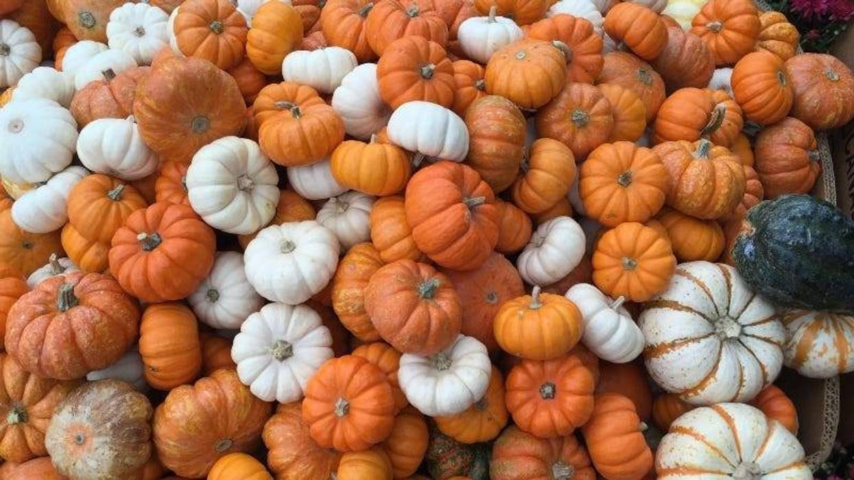 Richard Clark / Getty Images