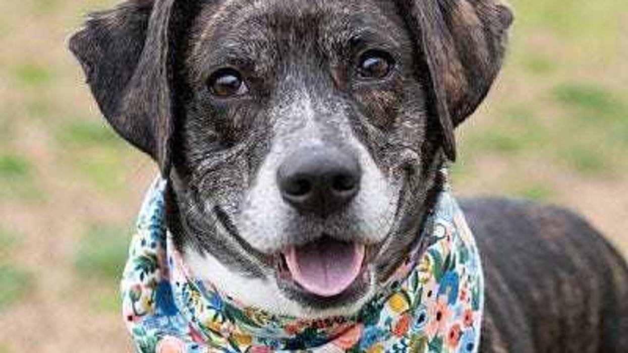Richmond Animal Care & Control