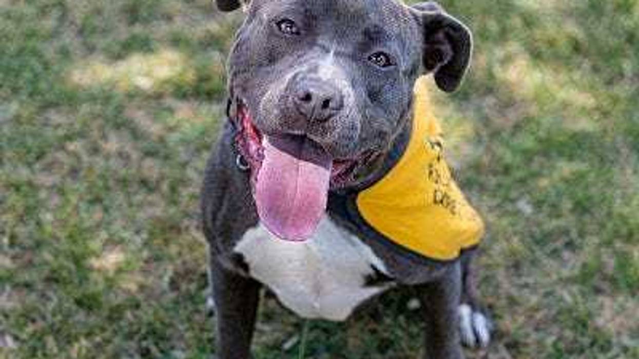 Richmond Animal Care & Control