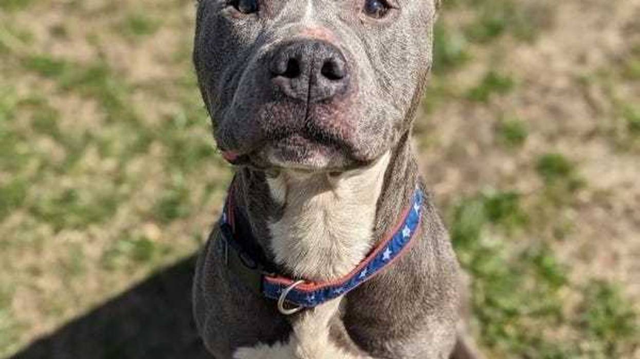 Richmond Animal Care & Control