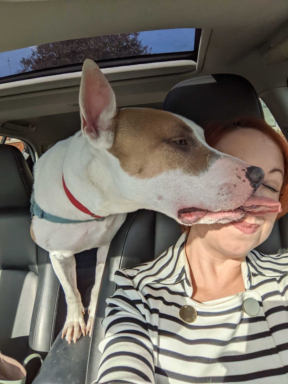 Richmond SPCA