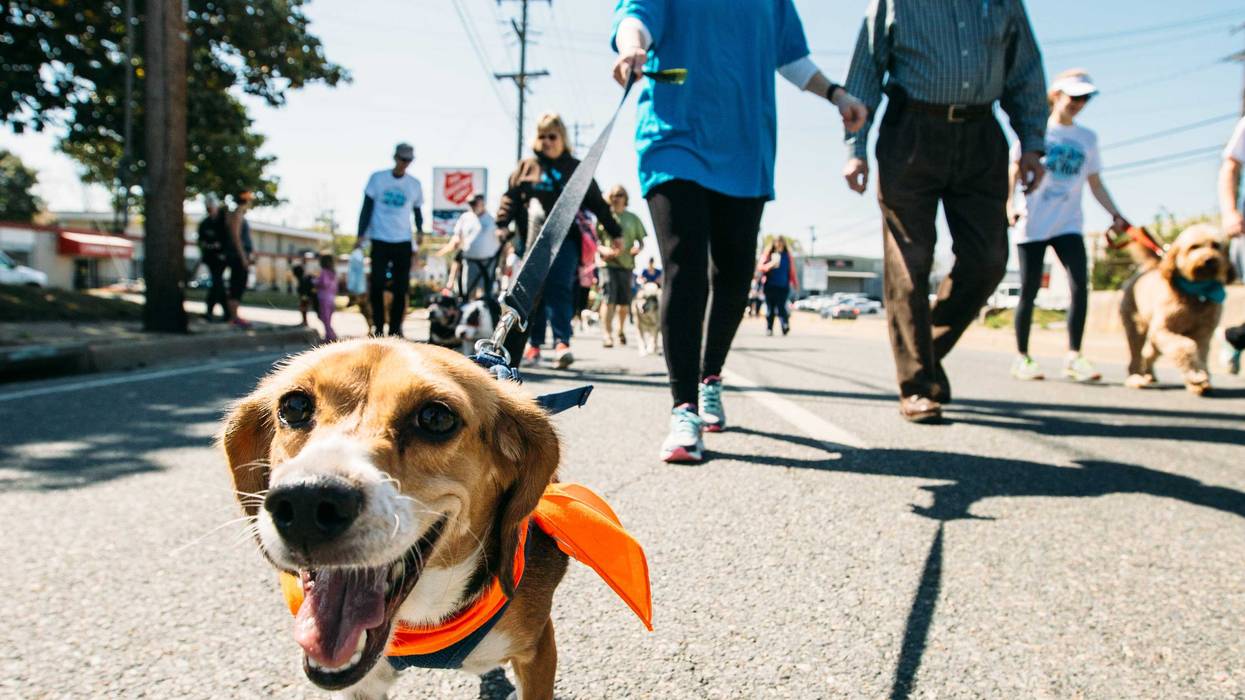Richmond SPCA