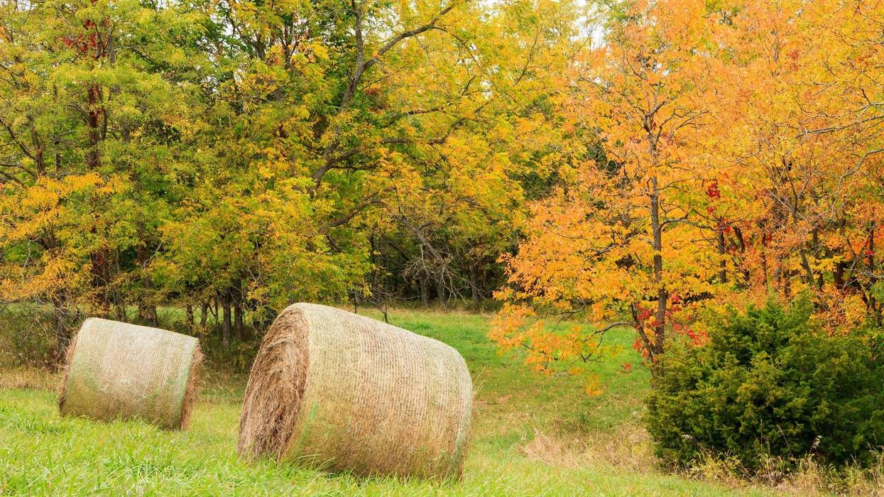 Ringing in the arrival of fall in Kansas