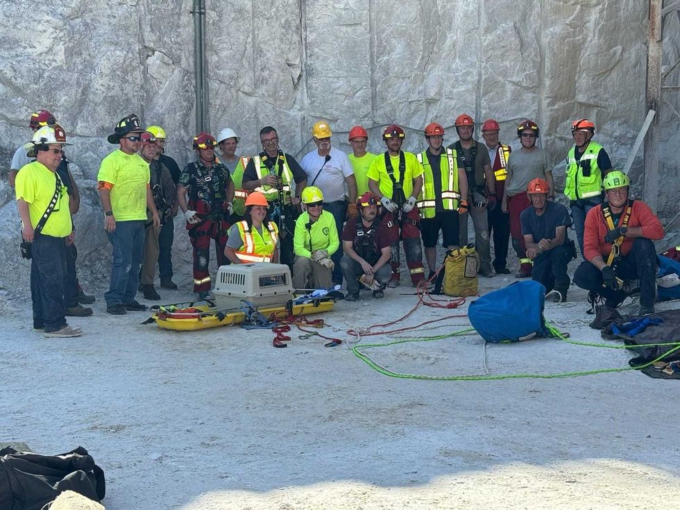Rippy, a terrier-mix, was rescued on Tuesday after falling down a 50 foot cliff in a Connecticut quarry.