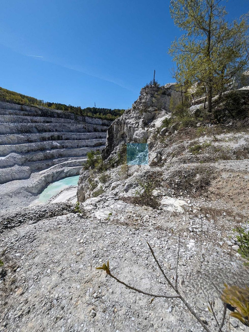 Rippy, a terrier-mix, was rescued on Tuesday after falling down a 50 foot cliff in a Connecticut quarry.