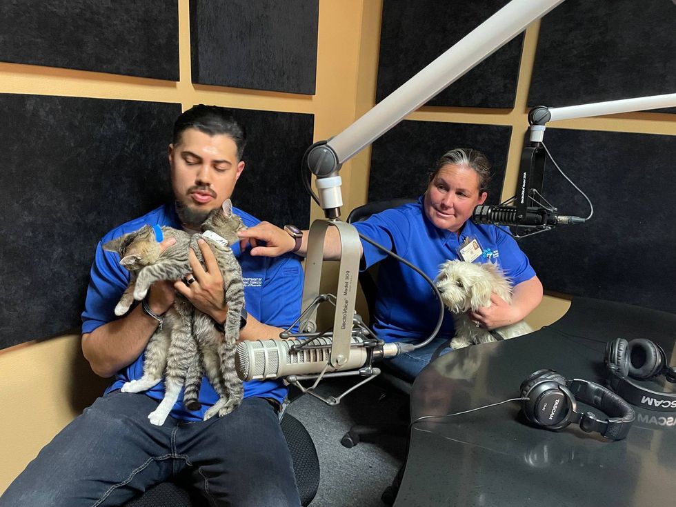 Riverside County Department of Animal Services prepping in the K-Frog studios