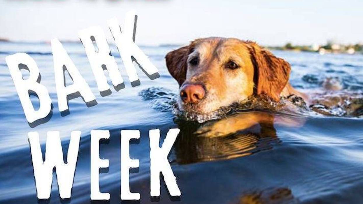Rob & Joss Bark Week Pet Nicknames KYXY 96.5
