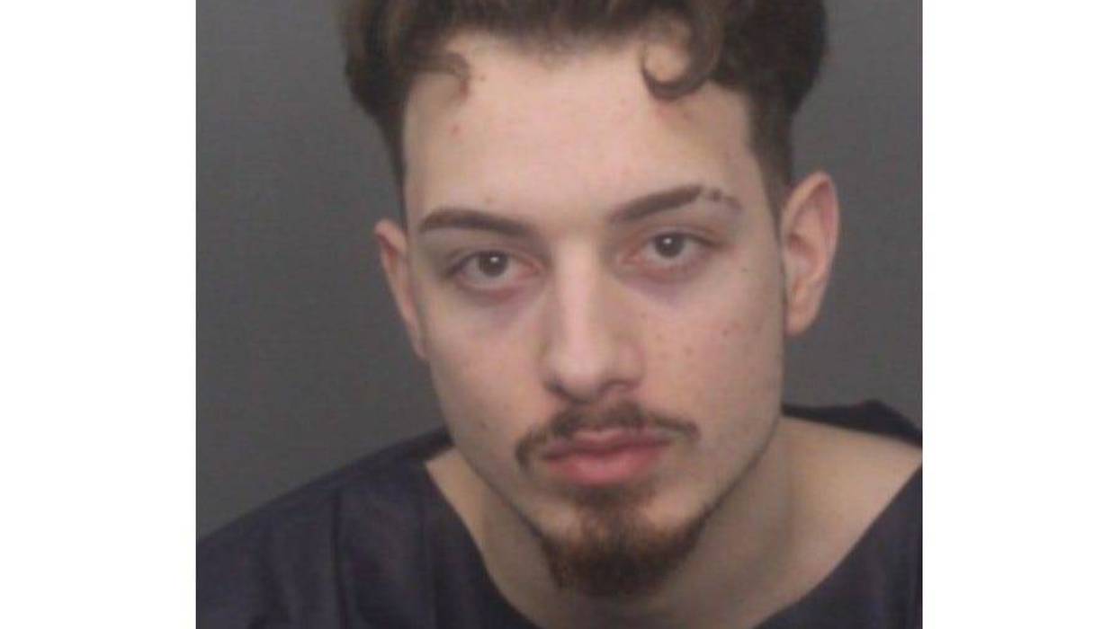 Robert Paljusevic booking photo
