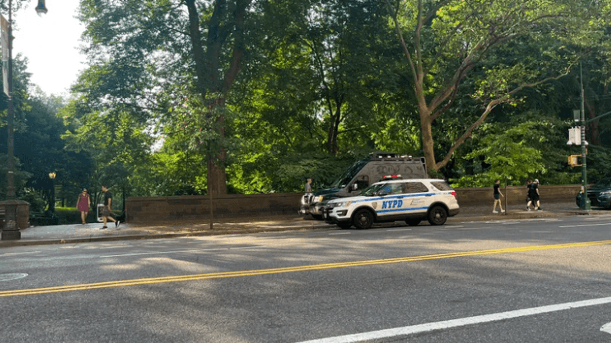 robo en central park