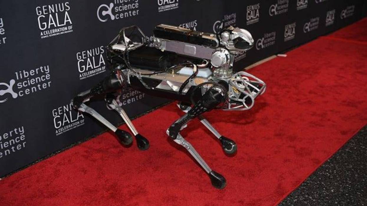 Robot_Dog