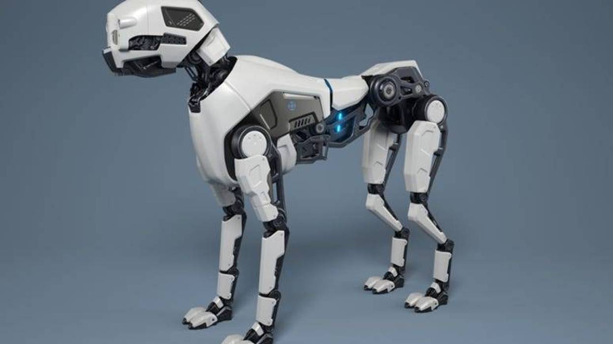 Robot_Dog