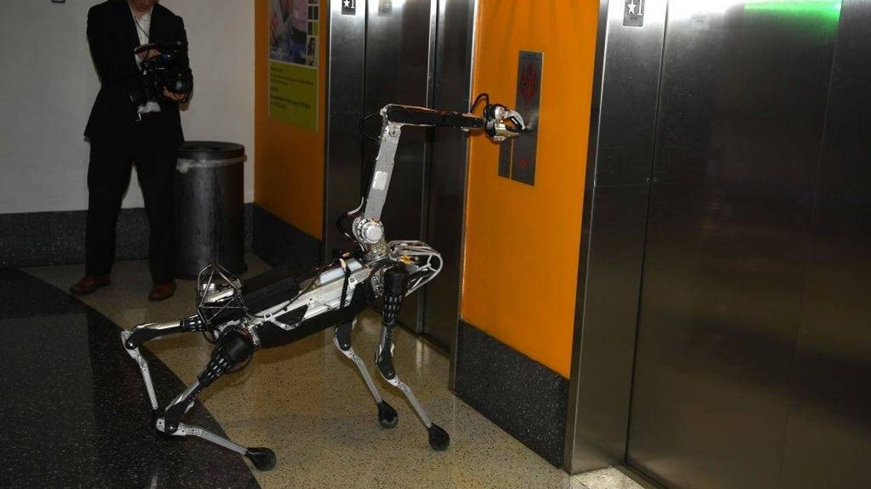 Robot Dog