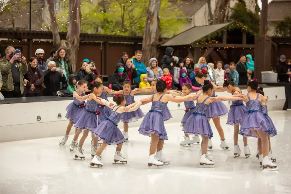 Robot inspired figure skating performances by the Tremors.
